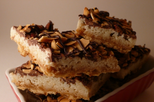 look at all that gooey chewy coconut filling on top of that crunchy caramel brittle, smothered in chocolate!